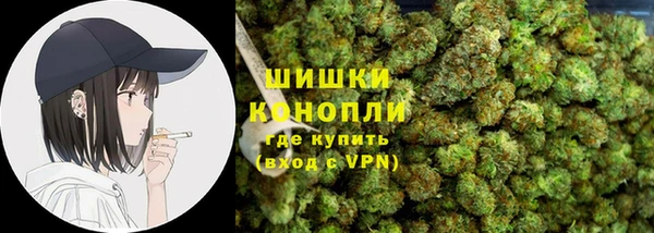 spice Снежногорск