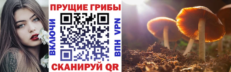 даркнет клад  Гуково  Галлюциногенные грибы прущие грибы 