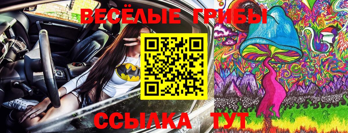 Псилоцибиновые грибы Magic Shrooms Гуково