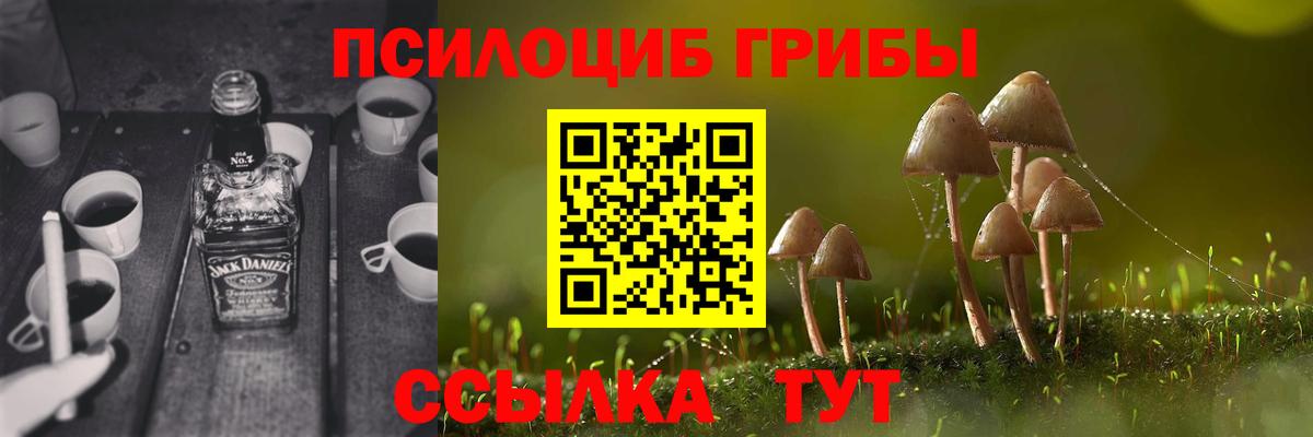 Гуково  Псилоцибиновые грибы Magic Shrooms  Вход с VPN 